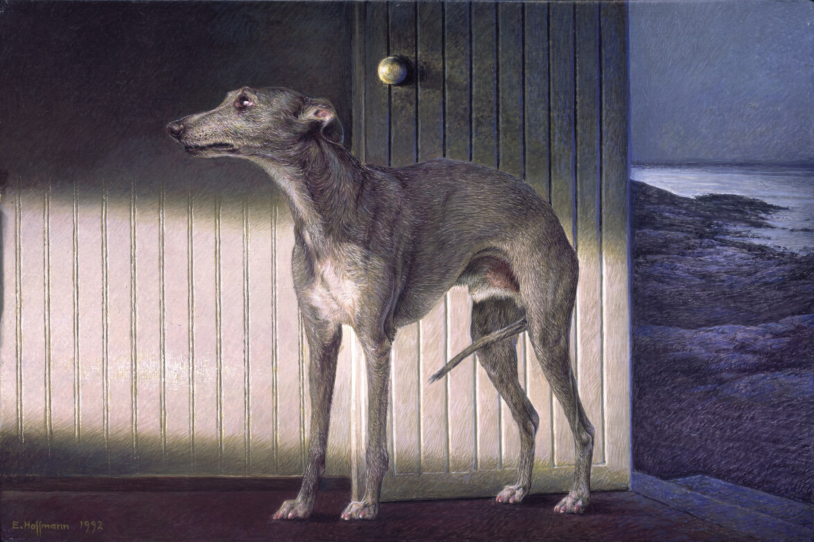 WHIPPET ON THE POINT