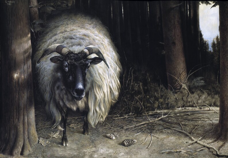 DAS SCHWEIGEN DES WALDES